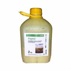 ALGEDI, 2 KG