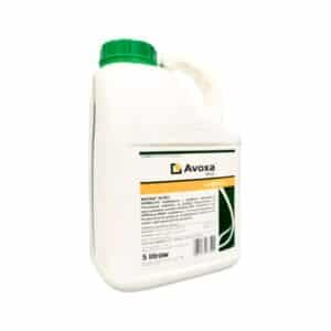 AVOXA, 5L