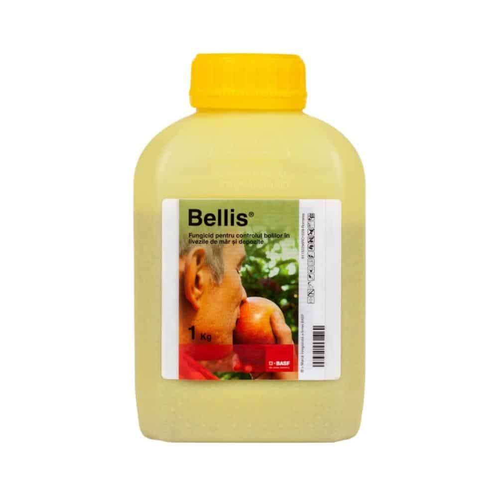 BELLIS, 1KG