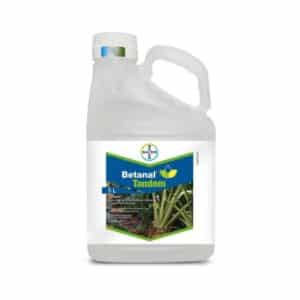 BETANAL TANDEM 390 SC, 5L