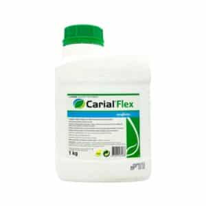 CARIAL FLEX, 1 KG