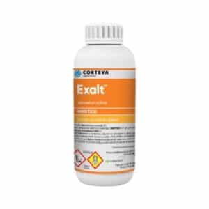 EXALT, 5L