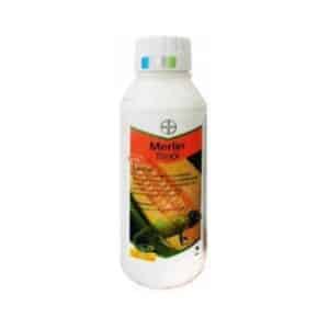 MERLIN FLEXX, 1L