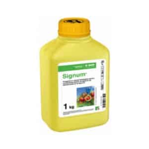 SIGNUM, 1 KG