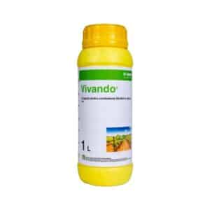 VIVANDO, 1L