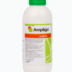 AMPLIGO,  1L