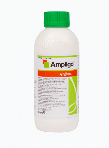 AMPLIGO, 1L