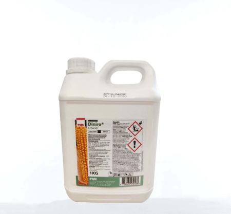 DINIRO, 1 KG