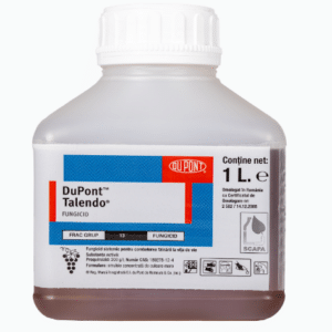 TALENDO, 1L