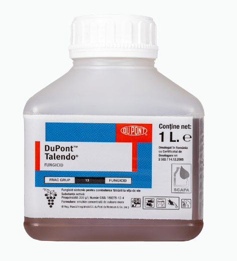 TALENDO, 1L