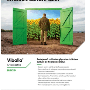 VIBALLA,1L