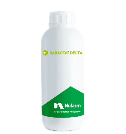 SARACEN DELTA, 1 L