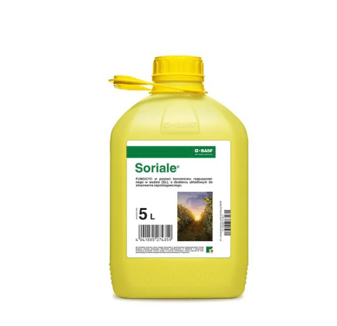 SORIALE LX, 5L