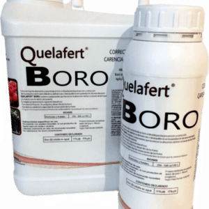 INGRASAMANT FOLIAR CU BOR 15%